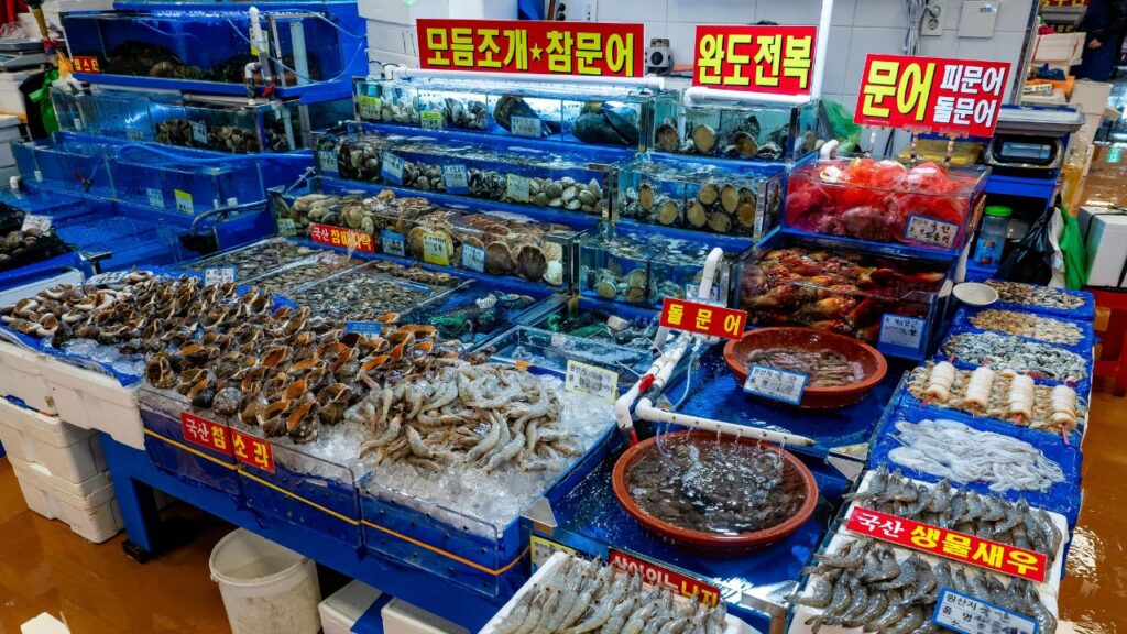 Comparison of Popular Raw Fish Varieties